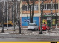 Смешные надписи и объявления