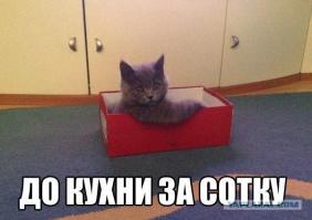 Фишкина солянка за 26.09.2014