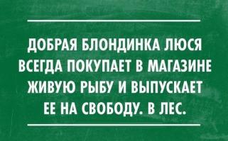 Одним словом блодинк