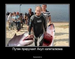 Да нет же... Вот смотри.