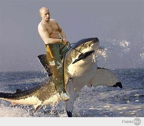 Да нет же... Вот смотри.