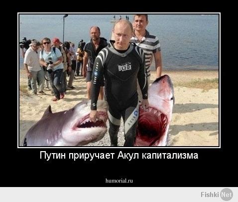 Да нет же... Вот смотри.