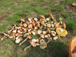 Калужская область