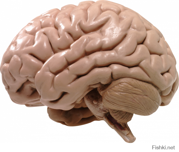 Так выглядит бесполезность