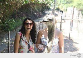 Ну так обычно подруг и подбирают для гулянки.