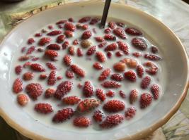 Земляника своя, с дачи, молоко деревенское, а вкус детства сказочный. Цена, копейки.