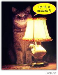 Ученик Чака Норриса