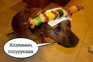 Приколы такого рода с хлебом, считаю вообще не приемлемыми, их деды и более молодое поколение не знало голода, вот в генетической памяти и не осталось, что с хлебом не шутят.