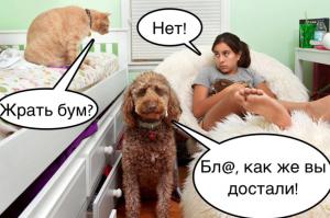 Дети и их комнаты 