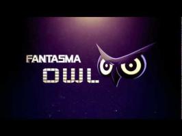 Называется это Fantasma Owl
Давно мечтаю купить, но свободных денег и времени никак не выкрою...
А цена этого удовольствия 600 баксов, плюс доставка.
Есть версии для 15 и 17 дисков.
Так-же есть версии для велосипедов, они стоят от 120 до 190 $.