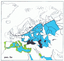 Предположительно территория выглядела до "потопа" так: