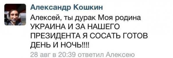  ГИФ года