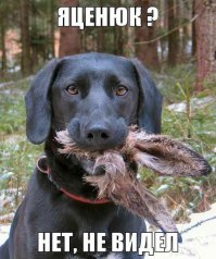 Если Россия - “захватчик”...