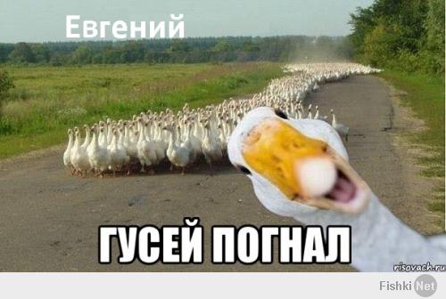 Иосиф Сталин предостерегал Россию