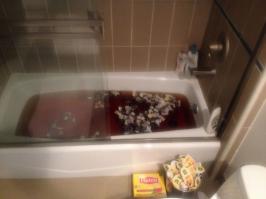 все в порядке! теперь сахар, дрожжи и не мыться с недельку