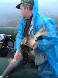 ну только на секунду отвернулся!