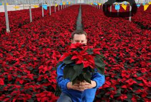 Украина или сюрприз, или заподлянку готовит