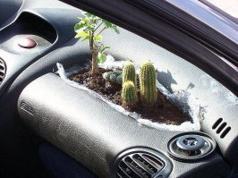 Подборка автоприколов. Часть 215