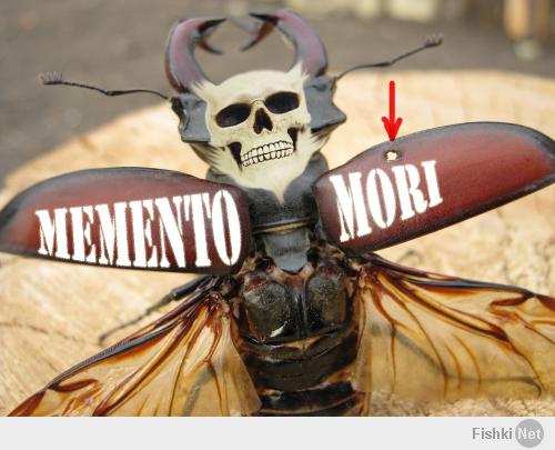 Они не поняли, если только не врачи. Вы сказали по латыни Memento Mori:)