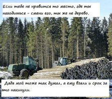 25 мыслей от китайских мудрецов