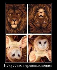 Из жизни подбородков