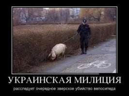 Смешные и нелепые знаки и вывески со всего мира