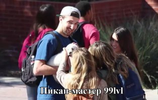 23 примера очаровательной дружбы и любви собак