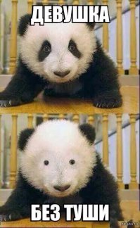 Скучающие, задумчивые и забавные панды