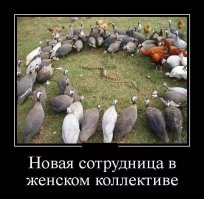 Змеям, вообще не просто!