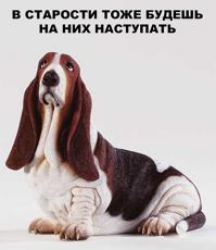 Фишкина солянка за 14.07.2014