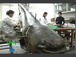 Подборка видео от 07.07.2014