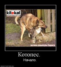 12 необычных гибридов животных 