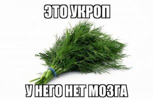 На Украине без следа растворилась военная помощь от Канады