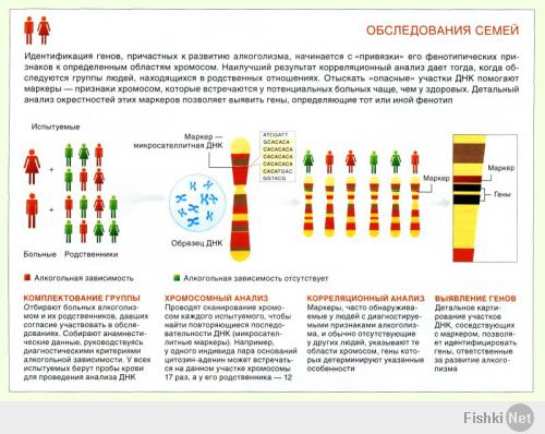 Я разве здесь что-то про себяч писала? Это лично мое мнение. Есть такая вещь, как ген непереносимости алкоголя. Чаще встречается у азиатов. И так же есть наследственный ген, кто предрасположен алкоголизму.