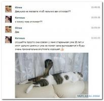 Смешные комментарии из социальных сетей 07.06.14