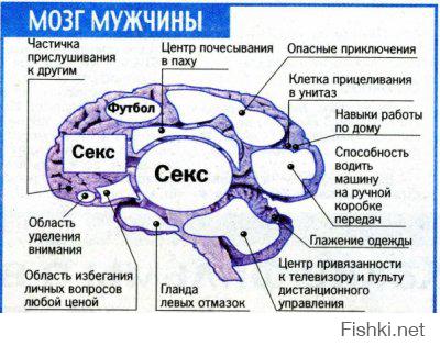 Уступи-ка, деточка!