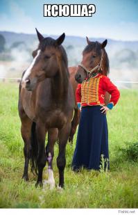 Показалось...