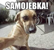 Селфи-самострел