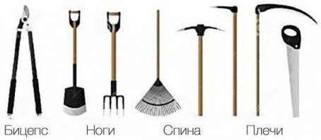 Прикольные картинки с надписями