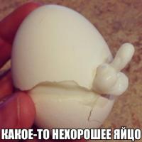  Картинки со смешными подписями