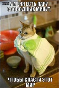 14 животных, которые не могут смириться с тем, что не родились людьми