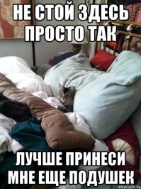 14 животных, которые не могут смириться с тем, что не родились людьми