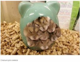 Фотоподборка за 11.02.2015