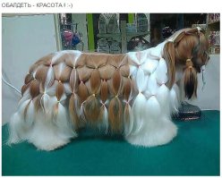 Фотоподборка за 11.02.2015