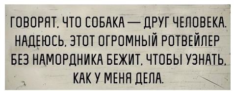 27 жизненных открыток для отличного настроения