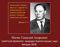 Проблема алкоголизма