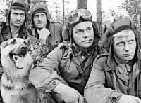 Фотографии, доказывающие, что нет никого преданней собаки