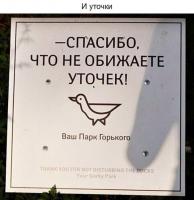 Самые добрые объявления