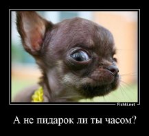 Михалку адресую