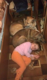 А вот мои красавицы ))